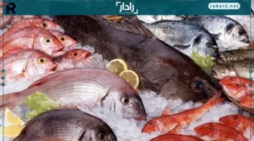 أسعار الأسماك.. تغيرات جديدة في سوق الأسماك المصري يوم الخميس 13 نوفمبر 2025